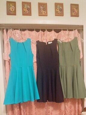 Fit N Flare Closet London Set of 3 Dresses